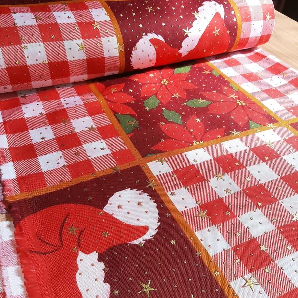 Oxford_Natal_02b_Delares