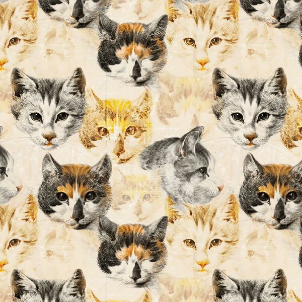 Tecido-Digital-Pet-9002-E080a-delarestecidos