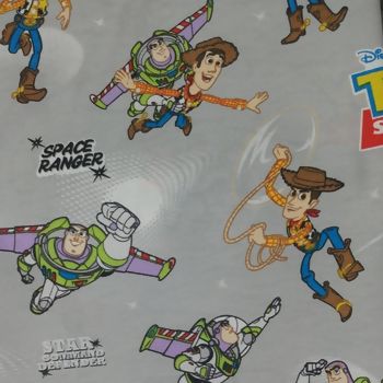 Belize-toy-story-delarestecidos