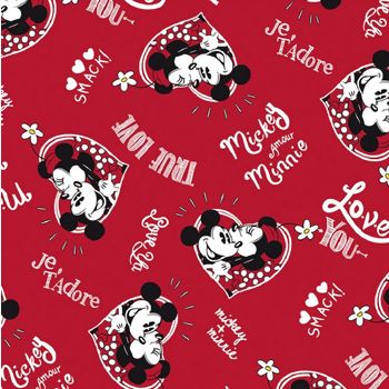 MICKEY_MINNIE_18D_dohler