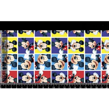 Oxfordine-Personagens-5969-Mickey-Mouse