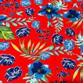 IMG-20240224-WA0013