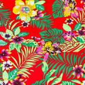 IMG-20240224-WA0014