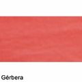 Meia-Oriental-Gerbera-delarestecidos