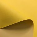 Nylon_600_Cor_Amarelo_delares