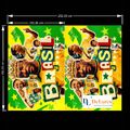 Tecido_Oxfordine_Copa_6569