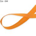 Vies-liso-Cor44-Cenoura