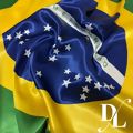 tecido_cetim_bandeira_do_brasil_delares1