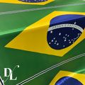 tecido_cetim_bandeira_do_brasil_delares3