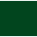 verde-bandeira
